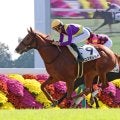 【京都６Ｒ・２歳新馬】５番人気のコスモレッドが力強い伸び脚でＶ　高杉吏麒騎手「いい内容で走ってくれました」