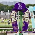 【京王杯2歳S】ダイヤモンドノット1位入線