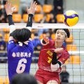 春高バレー埼玉女子決勝、SVリーグ会場で実施　埼玉上尾が協力「いい経験に」