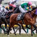	【AI予想・AR共和国杯】今年は4歳馬が主役になる!? 重賞級のポテンシャルを秘める人工知能の本命馬