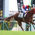 【新馬/東京6R】7番人気の伏兵レオアジャイルがデビュー勝ち