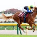 【京王杯２歳Ｓ】ルメール騎手「楽勝でした」３馬身差快勝　ダイヤモンドノット重賞初タイトル導いた