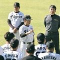 阪神・和田新ヘッド　合流初日から熱血７時間指導　若虎にゲキ「絶対無駄にしたらあかん」午後４時半まで“らしさ”全開