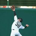 阪神・小幡　鉄人ボディ作り上げる　筋肉は裏切らない！来季全試合出場目指して“貯筋”積み上げる