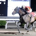 【高知競馬】別府真司調教師が地方通算2500勝達成