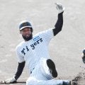 【阪神】「大穴」カリブの大砲にわかに注目　藤川監督が高評価明かす「前に置いてとお願いした」