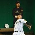 【阪神】藤川監督うれしい悲鳴　１軍サバイバル活況「高レベルで切磋琢磨。悩むんじゃないかな」