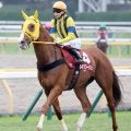 【アルゼンチン共和国杯】ボルドグフーシュは１１着　横山武史騎手「ラスト５０メートルで一気に疲れて…」