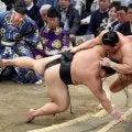 伯桜鵬が豊昇龍から金星　４度目の対戦で初勝利