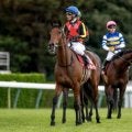 エリザベス女王杯など3重賞/今週の競馬界の見どころ