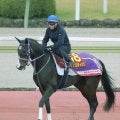 【エリザベス女王杯】Ｃデムーロ騎手と初Ｖ以来のコンビ　３歳馬リンクスティップに激走気配