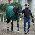 【エリザベス女王杯・角田の特注馬】６歳の冬でも元気いっぱい　ライラックが“４度目の正直”だ！