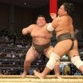 １・４東京ドームでウルフ先輩を応援に　岡田が快勝発進「優勝を狙う」【大相撲九州場所】