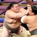 東海大柔道部出身・岡田、三段目復帰で圧勝発進「めっちゃ体が張っている。優勝を狙います」