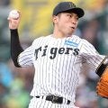 阪神・石井にコミッショナー特別表彰特別賞と発表　５０試合連続無失点のＮＰＢ新記録樹立　阪神・藤川監督にセ最優秀監督賞、カムバック賞に中日・大野