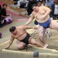 連覇を目指す大の里が２連勝　豊昇龍は初白星　琴桜は初黒星