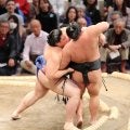 大の里が連勝　初日金星で２連敗中だった伯桜鵬を圧倒「双葉山、大鵬レベル」の声