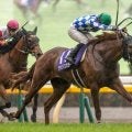 【マイルCS出走馬決定順】フルゲート18頭に22頭が登録 GI馬シャンパンカラーなど4頭が除外見込み