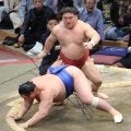 朝紅龍 紅色の締め込みで連勝発進