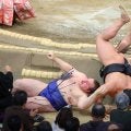 新関脇・安青錦は「まるで千代の富士さん」八角理事長が大絶賛　大関取り足固めへ初日から初連勝発進