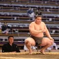 モンゴル出身・オチルサイハンが「旭富士」のしこ名で初土俵　堂々の白星発進　敗れた天昇山は「強かった」