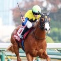 【注目馬動向】京王杯２歳Ｓ完勝のダイヤモンドノットは朝日杯ＦＳ視野　福永調教師「思ったよりダメージはなかった」