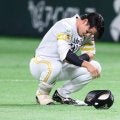 鷹・栗原陵矢が腰ヘルニア手術、競技復帰まで2～3か月　今季80試合…リーグ2連覇＆日本一貢献