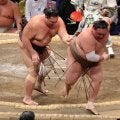 朝乃山、ようやく今場所初白星　東十両６枚目の荒篤山を破り１勝２敗