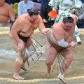 元大関の十両・朝乃山が初勝利
