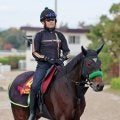 【エリザベス女王杯】２連勝中オーロラエックスは杉山晴調教師の“秘蔵っ子”　「長い直線で脚を使うのがいいかな」