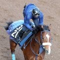 【デイリー杯２歳Ｓ】５馬身差Ｖのカヴァレリッツォがさらに上昇　吉岡調教師「１回使ったことで集中力が出てきた」