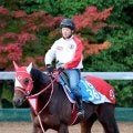 【武蔵野Ｓ】フォーエバーヤングに続け　同じリアルスティール産駒＆４歳牡馬＆矢作厩舎のビダーヤが重賞初Ｖ狙う