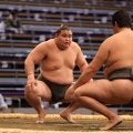 大相撲　元稀勢の里が“史上最強の新弟子”旭富士を評価「よく稽古している体つき」