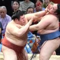 熱海富士　“怪物”旭富士に刺激　２勝目「うれしい。負けないように頑張りたい」…同部屋＆同級生の前相撲デビューに