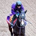 【エリザベス女王杯】Ｇ１馬２頭に不安要素　斤量差ある３歳リンクスティップが見直せる