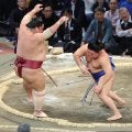 藤ノ川、大栄翔を破り無傷の３連勝　「当たってからも我慢できた。いい感じなので、明日も勝てるように」