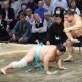 高安が珍手「内無双」で２勝目　「本場所でやった記憶はないが、稽古場ではよくやっている」
