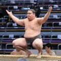 怪物級力士のすごみを示す“コブ”の正体　「久しぶりに見るのが楽しみな力士が出てきた」【元大関・琴風の目】