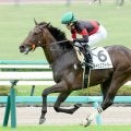 【東京スポーツ杯２歳Ｓ１週前】“歴代最速上がり”のライヒスアドラーが突き抜けたぁ！！！上原佑調教師「楽しみ」