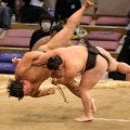 炎鵬リベンジ星で無傷２連勝、同郷力士の“無言のエール”に感謝【大相撲九州場所】