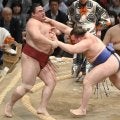 異例の九州場所　４日目にして全勝わずか３人に　大の里は盤石４連勝　安青錦、藤ノ川も全勝守る