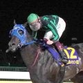 ゼーロスがハイセイコー記念優勝　大井競馬