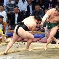 十両・西ノ龍が３連勝　今場所は三沢光晴氏からもらったプロレス・ノアの化粧まわしつけて土俵入り「かっこいい」