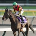 【注目馬動向】ミュージアムマイルが香港カップの招待を辞退　前走の天皇賞・秋で２着
