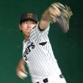阪神・工藤　ブルペンで熱投３００球　藤川監督が密着指導「自然に体が反応し始めるフォームに」