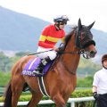 【注目馬動向】ベラジオオペラが香港カップ、ソウルラッシュが香港マイルの招待を受諾
