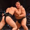 旭富士、前相撲で３連勝　来場所は序ノ口デビューへ