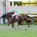 デイリー杯2歳S  勝ち馬はわずか4勝