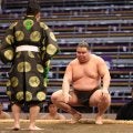 旭富士が３連勝で一番出世、“史上最強の新弟子”新序出世披露の化粧まわしに注目