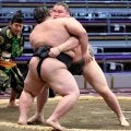 旭富士、前相撲で３連勝　来場所で第６３代横綱から受け継いだしこ名が番付に記載